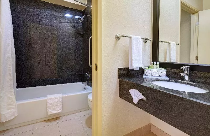 اتاق اجرایی با تخت بزرگ, Holiday Inn Express San Diego South   National City, An Ihg