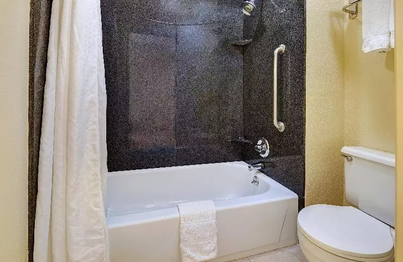 اتاق اجرایی با تخت بزرگ, Holiday Inn Express San Diego South   National City, An Ihg