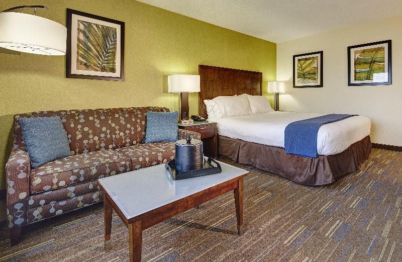 キングサイズベッドのエクゼクティブルーム, Holiday Inn Express San Diego South   National City, An Ihg