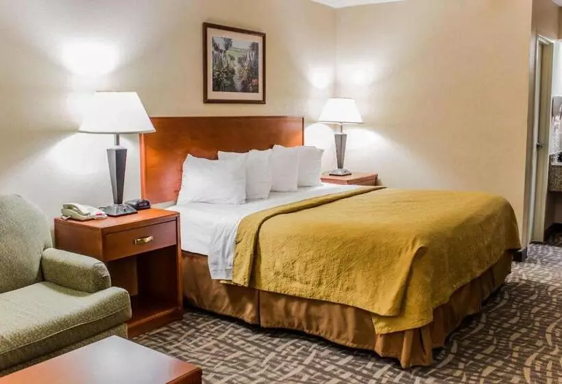 キングサイズベッドのスタンダードルーム, Quality Inn Kinston Hwy 70