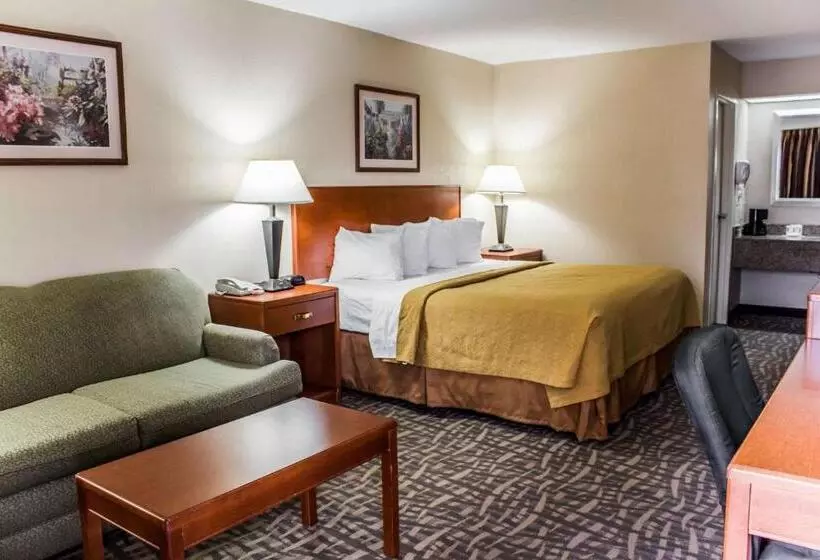 キングサイズベッドのスタンダードルーム, Quality Inn Kinston Hwy 70