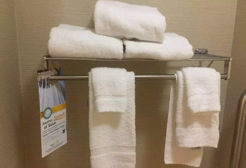 اتاق استاندارد با 2 تخت دوبل, Quality Inn Richmond Airport