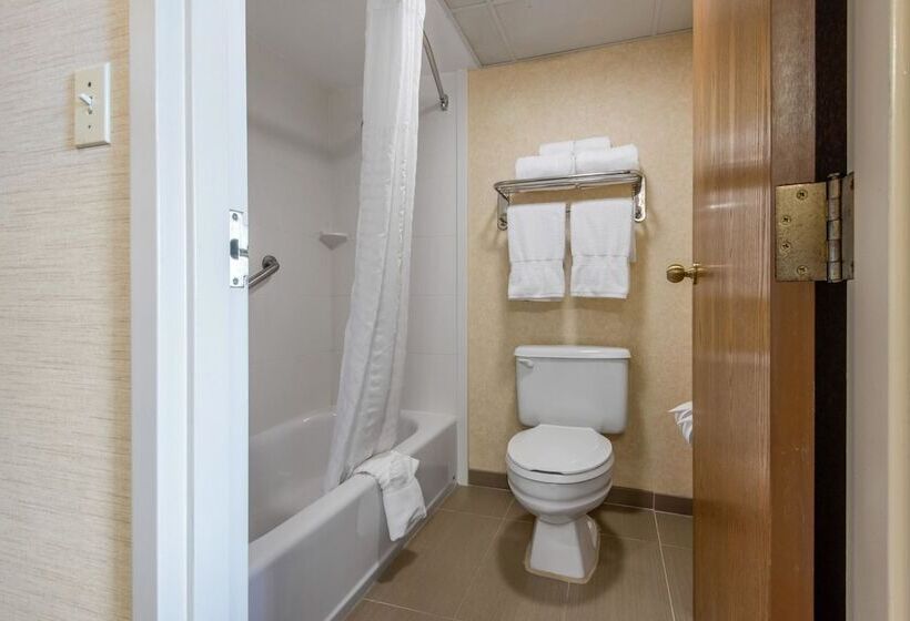 Номер Стандарт 2 Двуспальные Кровати, Quality Inn & Suites