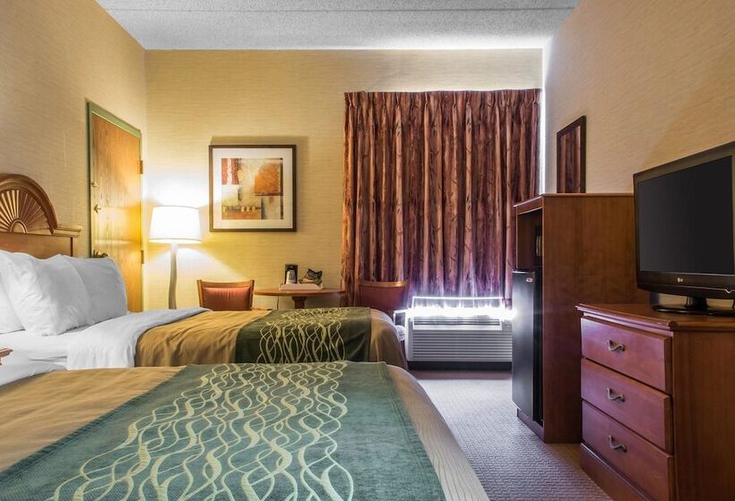 Номер Стандарт 2 Двуспальные Кровати, Quality Inn & Suites