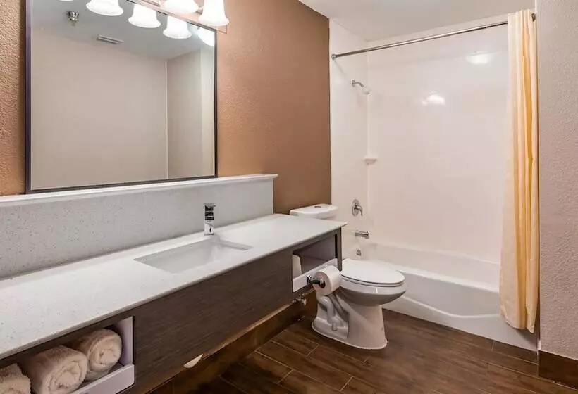 スタンダードルーム, Surestay Hotel By Best Western Brownsville