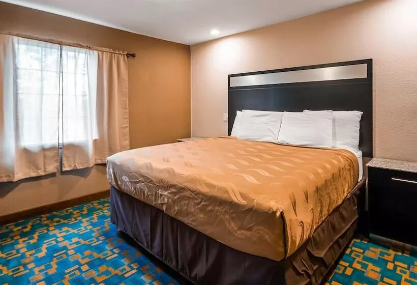 スタンダードルーム, Surestay Hotel By Best Western Brownsville