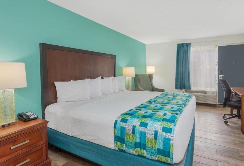 스탠다드 룸 킹사이즈 침대, Surf & Sand