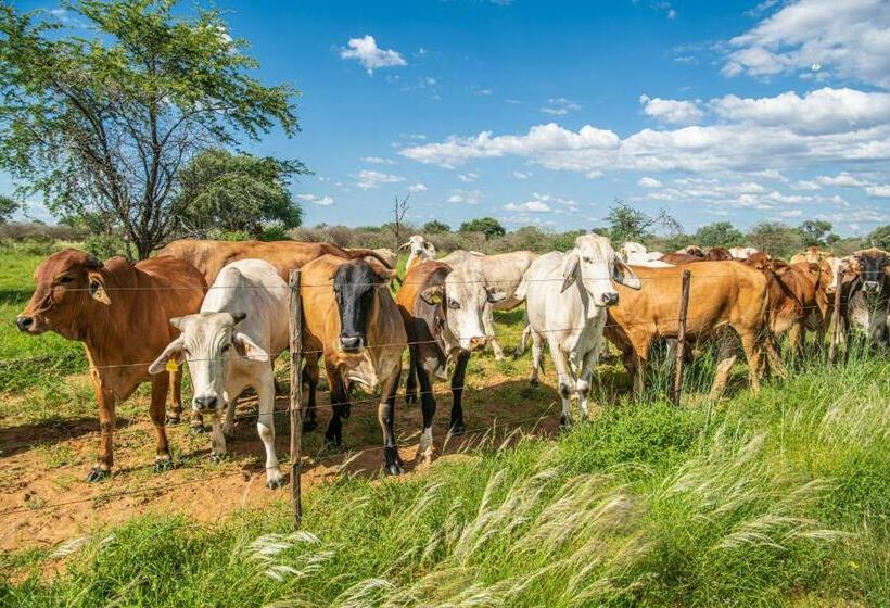 اتاق استاندارد, Farmstay Okakeua