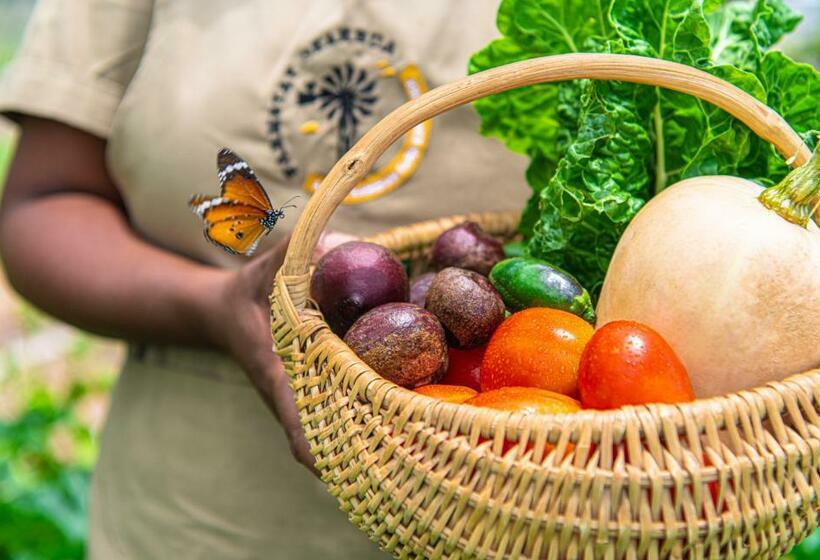 اتاق استاندارد, Farmstay Okakeua