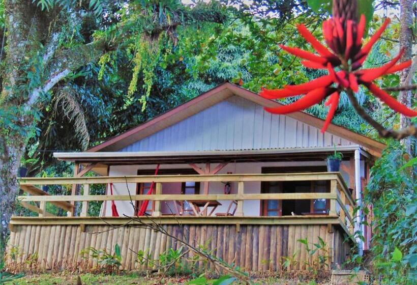 套房带园景, Morada Da Sereia