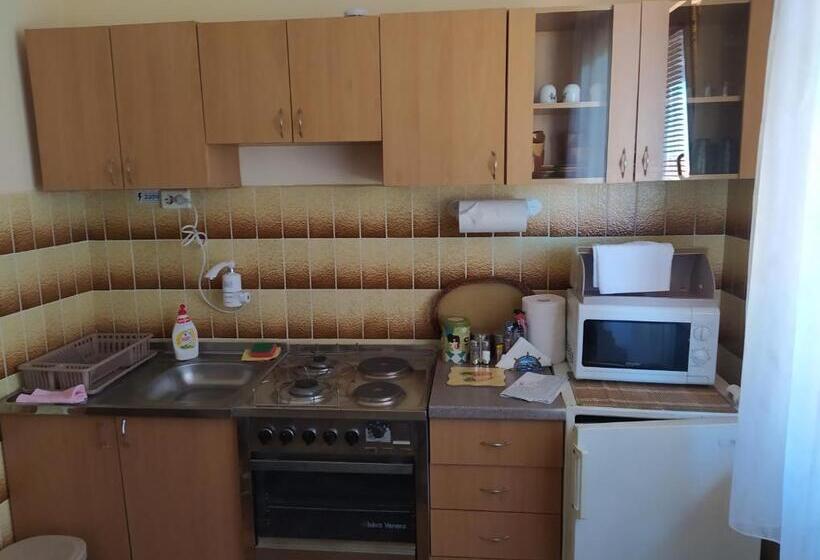 اتاق استاندارد با سرویس بهداشتی مشترک, Apartment & Rooms Aleksandar