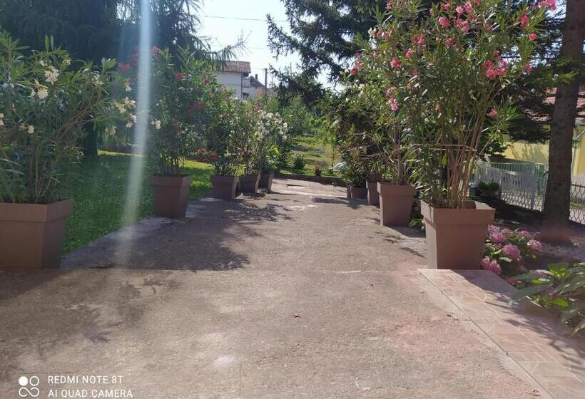 اتاق استاندارد با سرویس بهداشتی مشترک, Apartment & Rooms Aleksandar