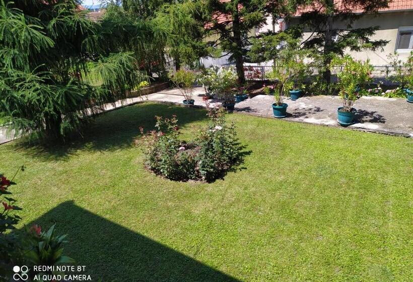 اتاق استاندارد سه تخته با سرویس بهداشتی مشترک, Apartment & Rooms Aleksandar