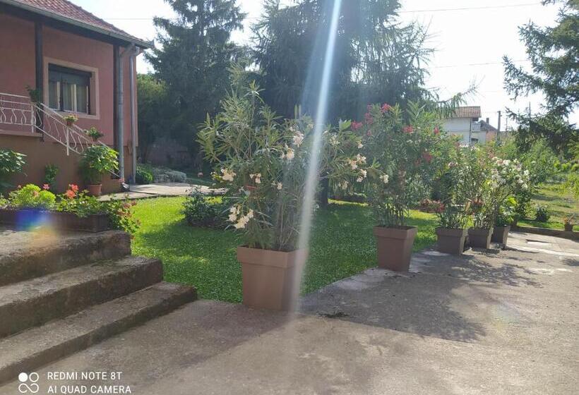 اتاق استاندارد سه تخته با سرویس بهداشتی مشترک, Apartment & Rooms Aleksandar