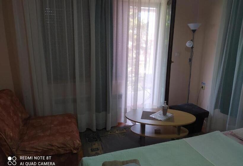 اتاق استاندارد سه تخته با سرویس بهداشتی مشترک, Apartment & Rooms Aleksandar