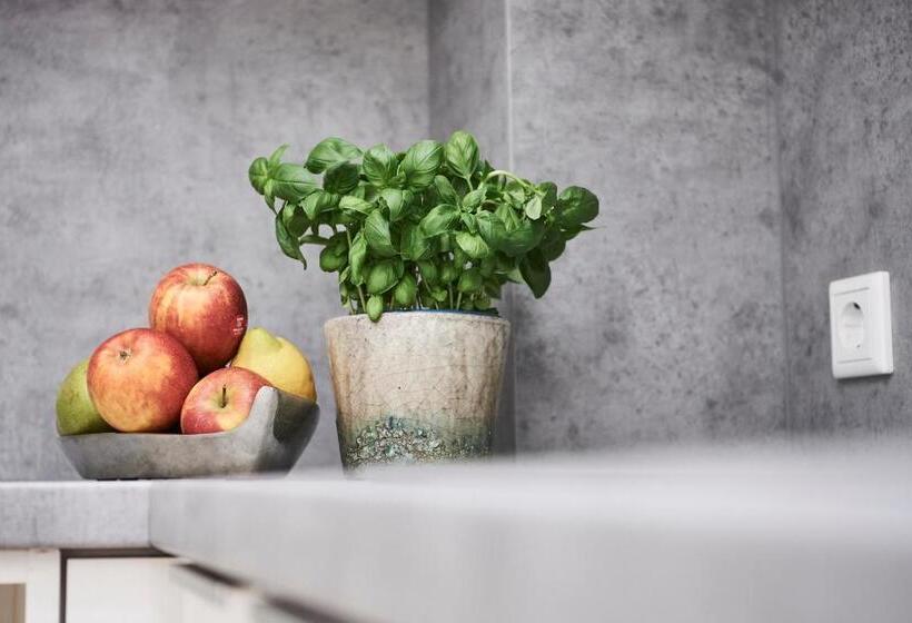 Апартаменты 1 Спальня с Террасой, Boardinghome Oldenburg