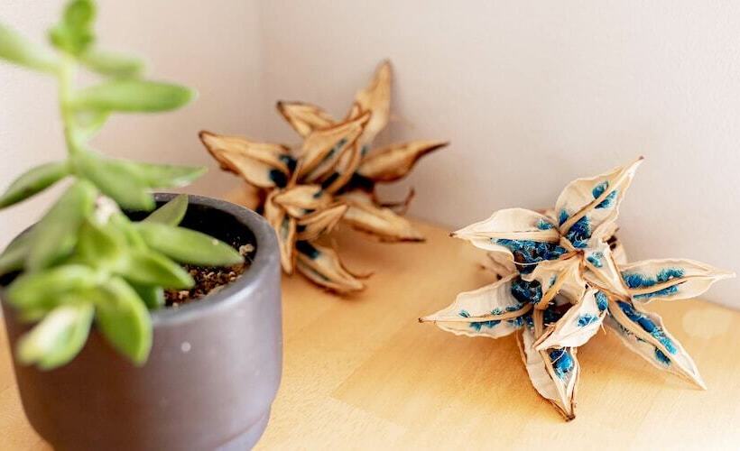 Апартаменты 2 Спальни, Guesthouse Koa