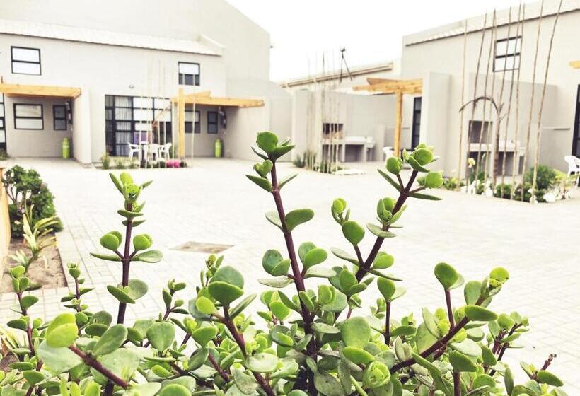 استودیوی استاندارد, The Cabin