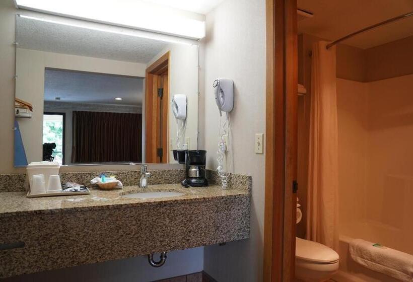 스탠다드 룸 킹사이즈 침대, College Inn