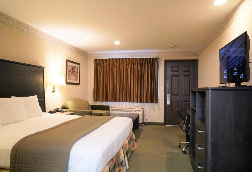 스탠다드 룸 킹사이즈 침대, College Inn