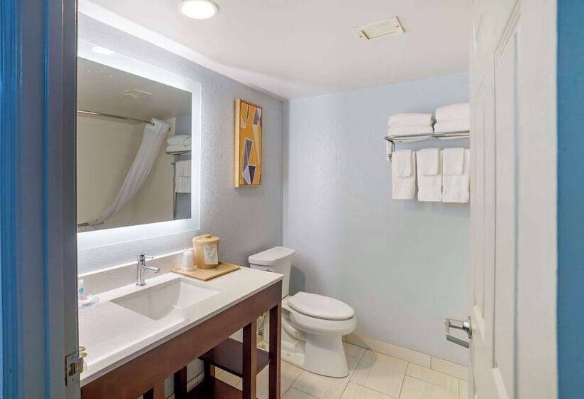 Люкс, Comfort Inn Asheville Airport