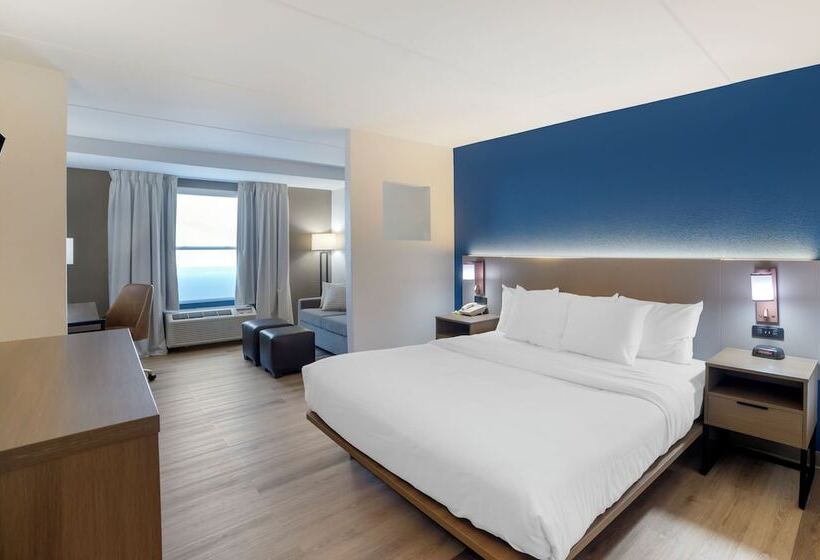 스위트, Comfort Inn Asheville Airport