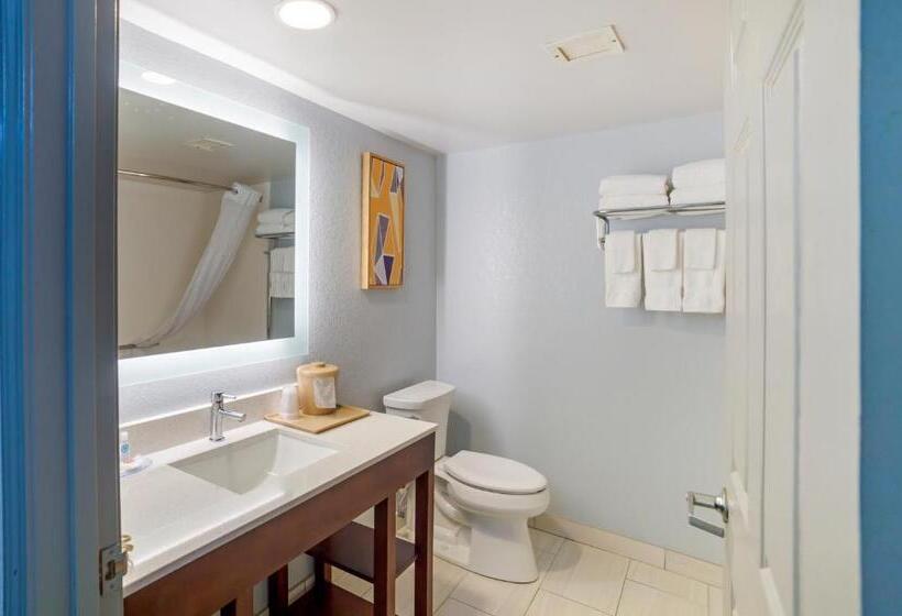 스탠다드 룸 더블 침대 2개, Comfort Inn Asheville Airport