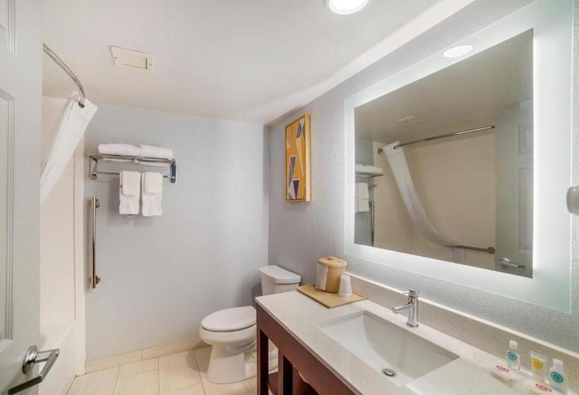 스탠다드 룸 더블 침대 2개, Comfort Inn Asheville Airport