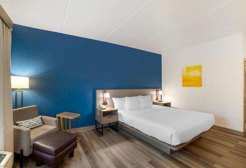 Стандартный Номер Кровать Кинг, Comfort Inn Asheville Airport