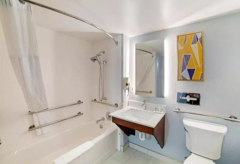 اتاق استاندارد با تخت بزرگ برای معلولان, Comfort Inn Asheville Airport