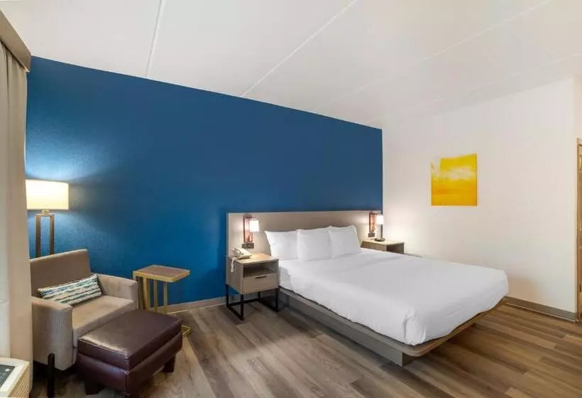 اتاق استاندارد با تخت بزرگ برای معلولان, Comfort Inn Asheville Airport