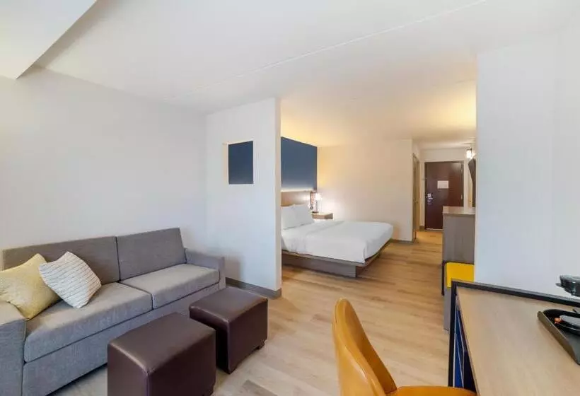 سوئیت با تخت بزرگ, Comfort Inn Asheville Airport