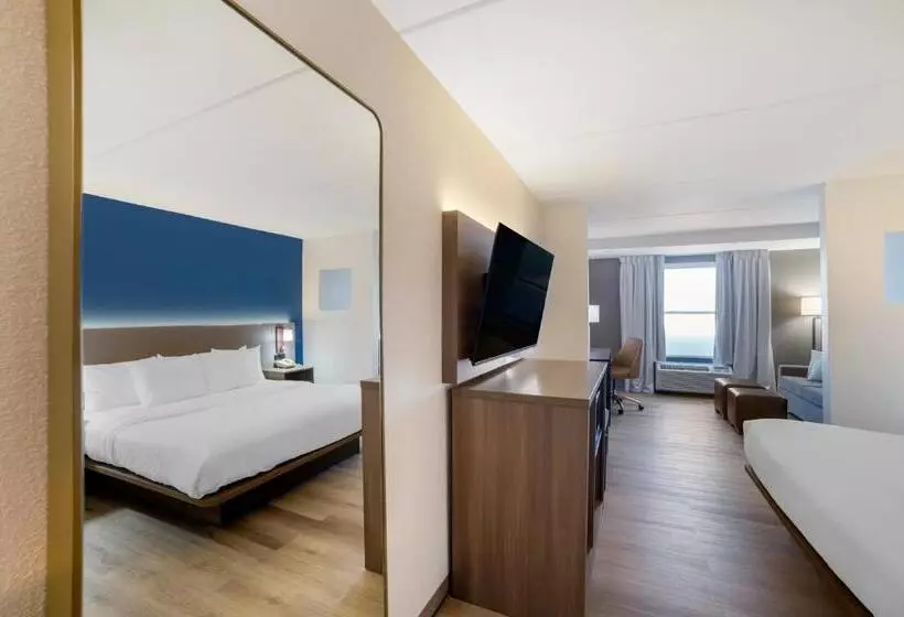 سوئیت با تخت بزرگ, Comfort Inn Asheville Airport