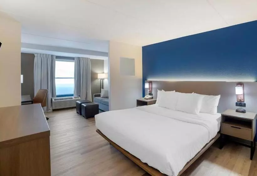 سوئیت با تخت بزرگ, Comfort Inn Asheville Airport