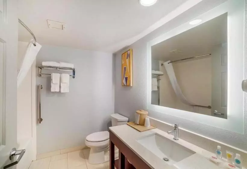 سوئیت با تخت بزرگ, Comfort Inn Asheville Airport