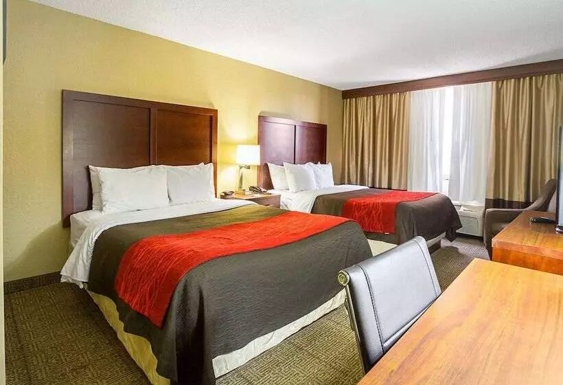 Standard-huone 2 Parivuodetta, Comfort Inn Downtown