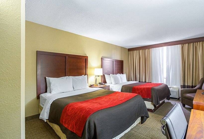 Номер Стандарт 2 Двуспальные Кровати, Comfort Inn Downtown