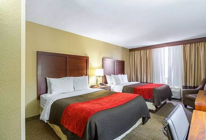 Standard-huone 2 Parivuodetta, Comfort Inn Downtown