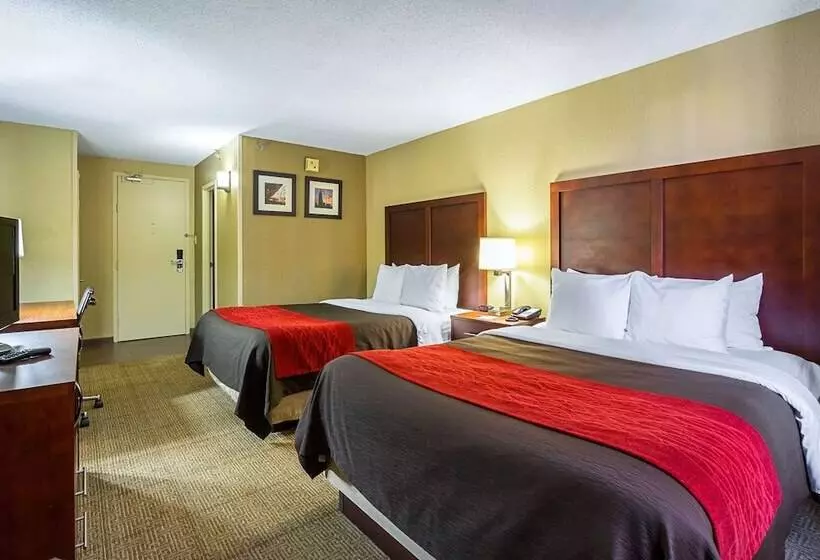 Standard-huone 2 Parivuodetta, Comfort Inn Downtown