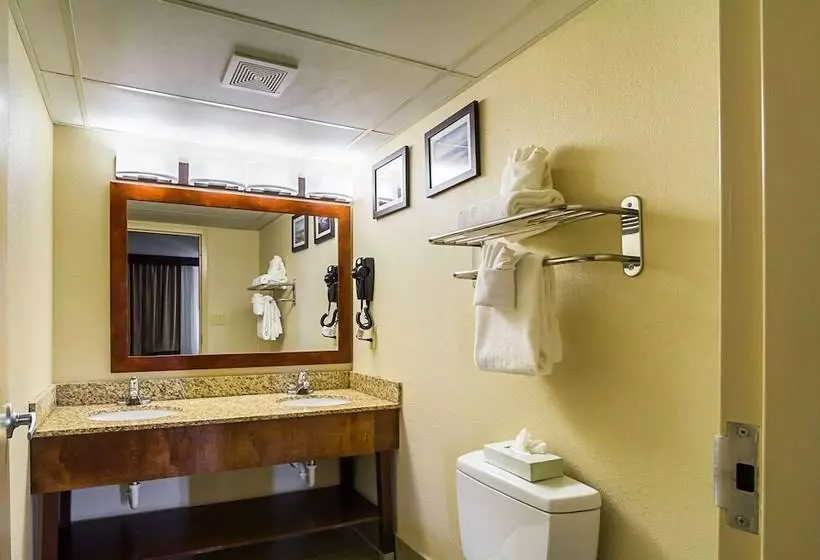 Sviitti, Comfort Inn Downtown
