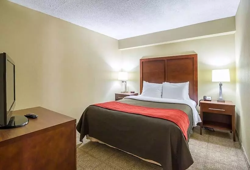 Sviitti, Comfort Inn Downtown