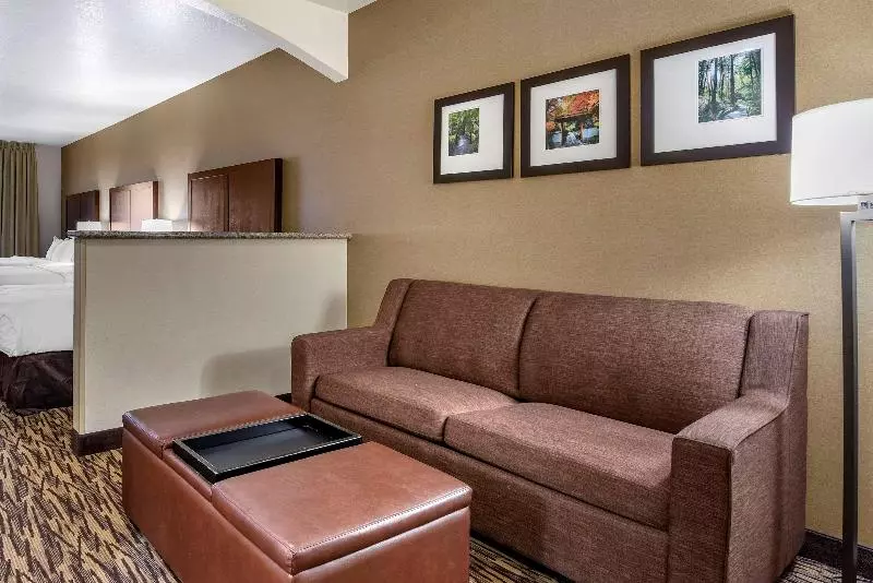 スイート, Comfort Suites Portland Airport