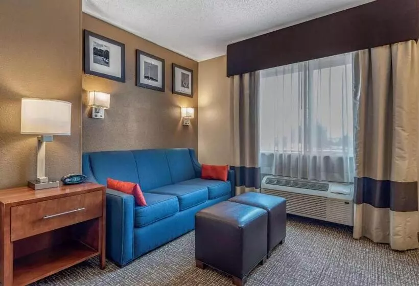 Sviitti King-vuode, Comfort Suites Terre Haute University Area