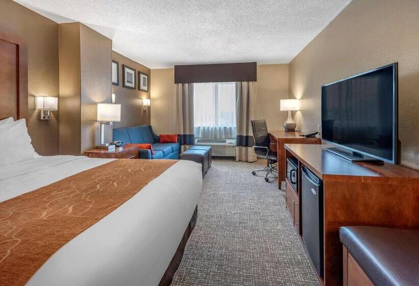 Suite Łóżko King Size, Comfort Suites Terre Haute University Area