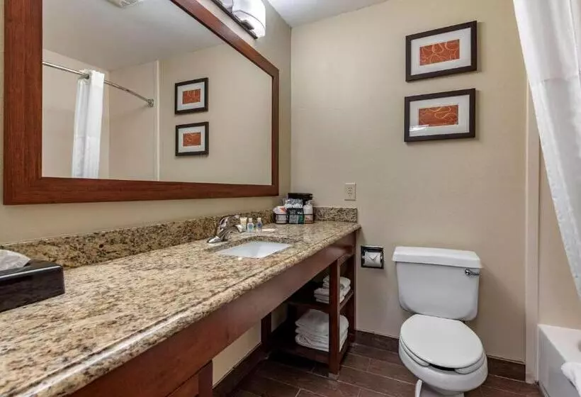 Sviitti King-vuode, Comfort Suites Terre Haute University Area