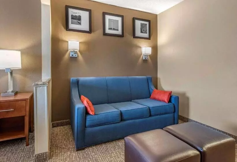 Sviitti King-vuode, Comfort Suites Terre Haute University Area