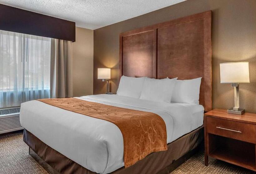 스위트 킹사이즈 침대, Comfort Suites Terre Haute University Area