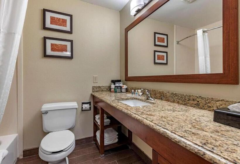 Suite Łóżko King Size, Comfort Suites Terre Haute University Area