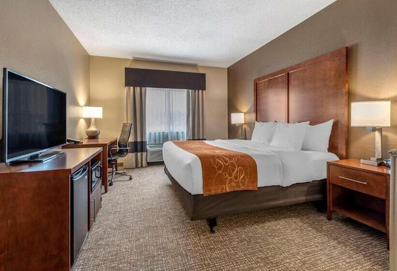 스위트 킹사이즈 침대, Comfort Suites Terre Haute University Area