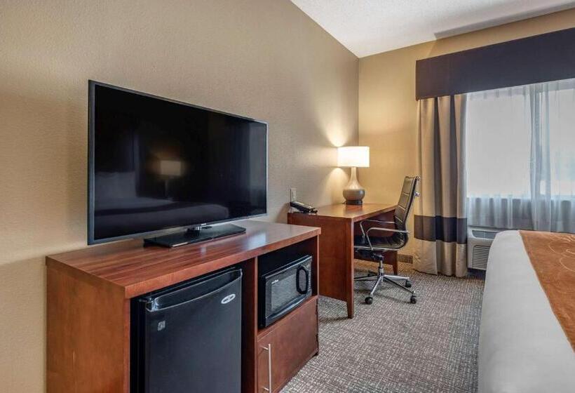 스위트 킹사이즈 침대, Comfort Suites Terre Haute University Area